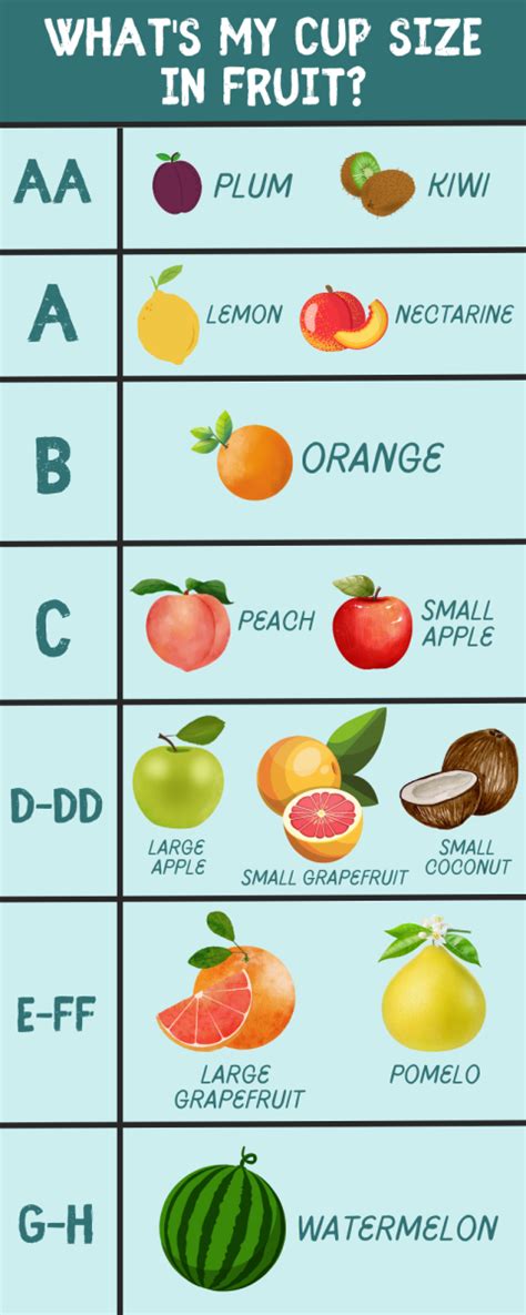 c cup breasts|Comparing Cup Sizes: A vs. B vs. C vs. D Cup Size